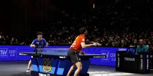 樊振东德甲渐入佳境，卡林离任，国际乒联岗位大调，丹顿专职WTT